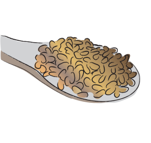 Bai Zi Ren Biota Seeds