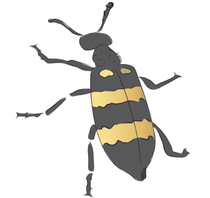 Ban Mao Chinese Blister Beetle Mykabris