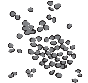 Bi Cheng Qie Litsea Cubebae