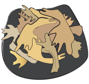 Bie Jia Tortoise Shell Carapax Trionycis