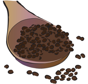 Bu Gu Zhi Psoralea Fruit